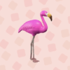 Mr. Flamingo and Mrs. Flamingo
