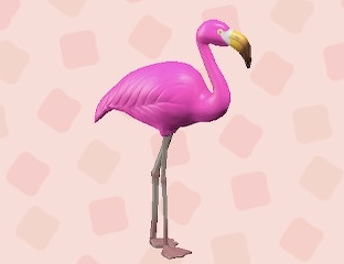 Mr. Flamingo and Mrs. Flamingo