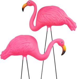 mr. flamingo and mrs. flamingo IRL